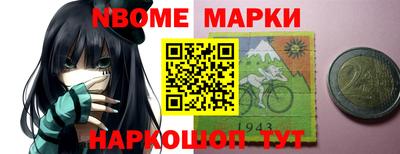 шишки Тверь
