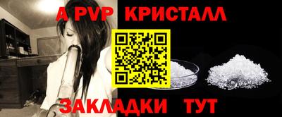 шишки Тверь