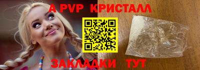 шишки Тверь