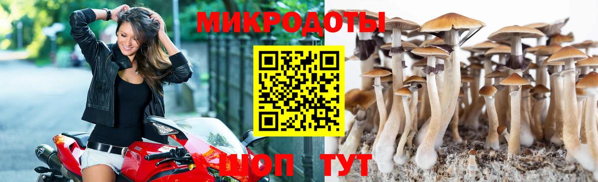 Галлюциногенные грибы GOLDEN TEACHER Нарткала